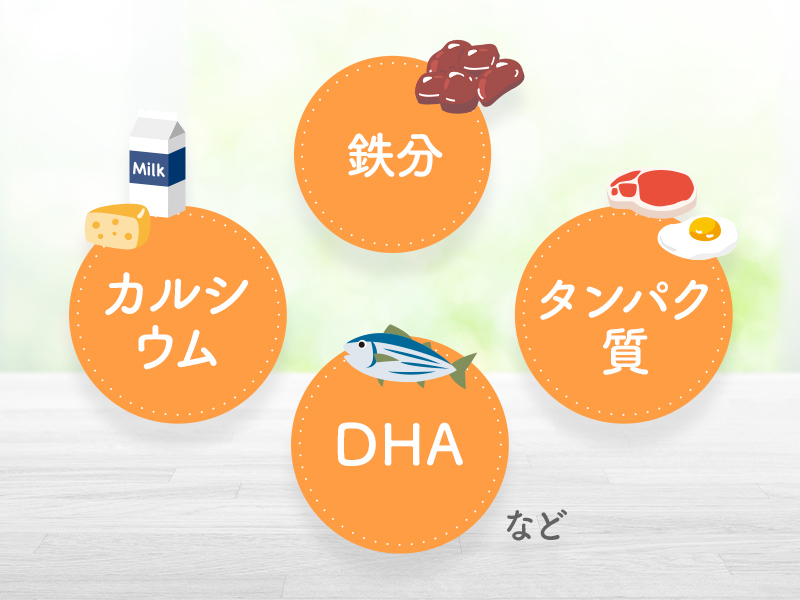 栄養素の画像